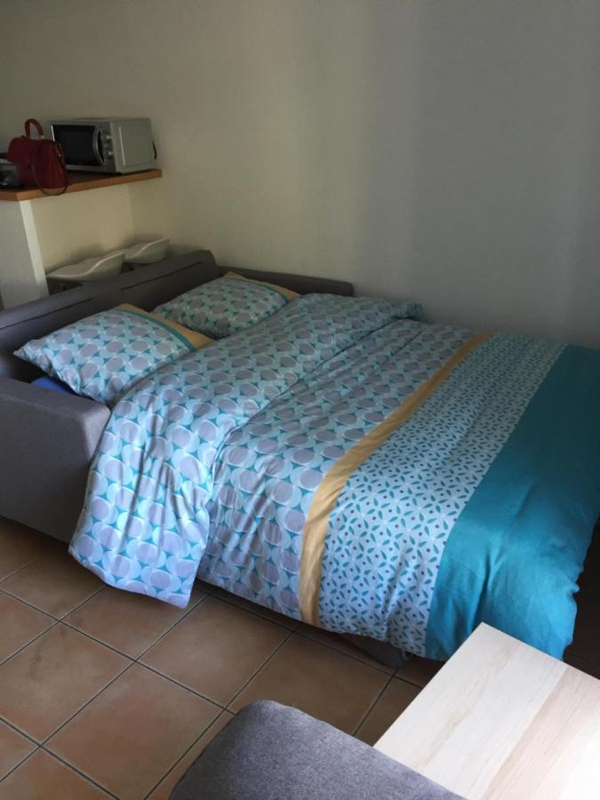 Appartement Residence Prive Avec Parking Wifi Clim Piscine Авиньон Екстериор снимка